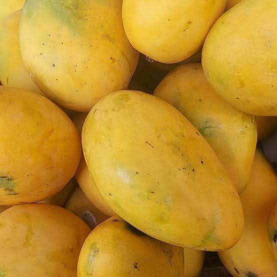 Banganapalli- 10kgs- ready to ripe